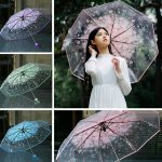 Transparent Umbrella