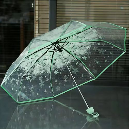 Transparent Umbrella - Image 5
